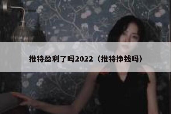 推特盈利了吗2022(推特挣钱吗) 第1张 推特盈利了吗2022(推特挣钱吗) 第1张