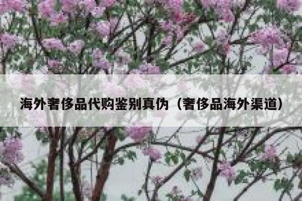 海外奢侈品代购鉴别真伪（奢侈品海外渠道） 第1张