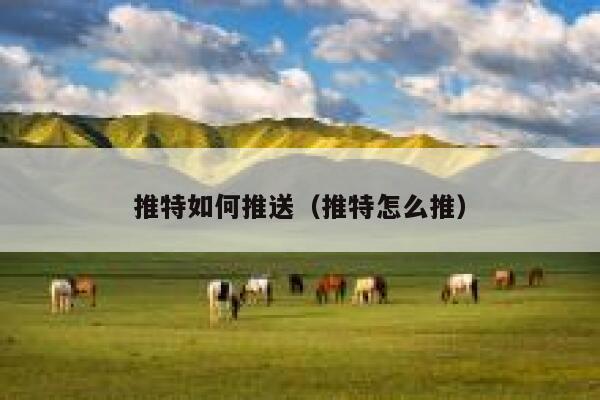 推特如何推送(推特怎么推) 第1张 推特如何推送(推特怎么推) 第1张