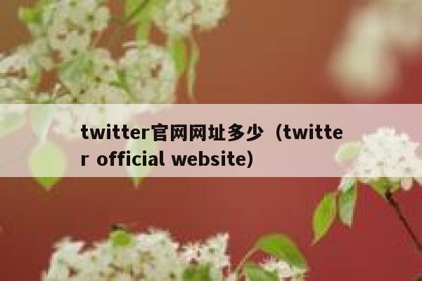 twitter官网网址多少（twitter official website） 第1张