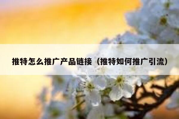 推特怎么推广产品链接（推特如何推广引流） 第1张