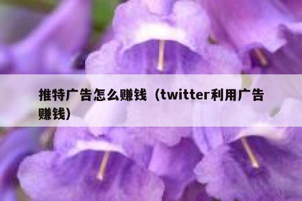 推特广告怎么赚钱(twitter利用广告赚钱) 第1张 推特广告怎么赚钱(twitter利用广告赚钱) 第1张