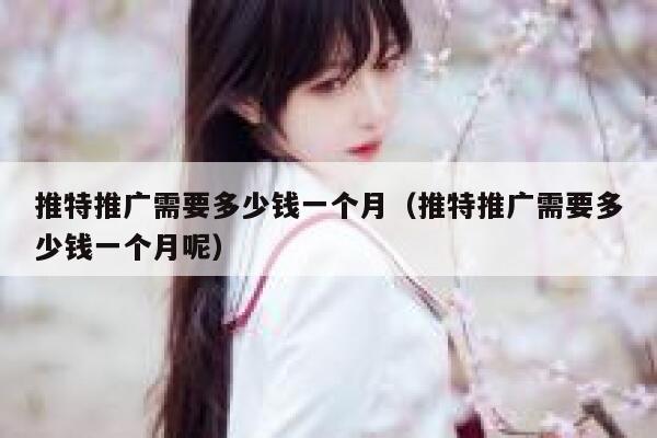 推特推广需要多少钱一个月（推特推广需要多少钱一个月呢） 第1张