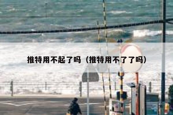 推特用不起了吗(推特用不了了吗) 第1张 推特用不起了吗(推特用不了了吗) 第1张