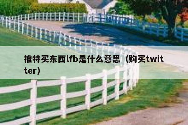 推特买东西lfb是什么意思(购买twitter) 第1张 推特买东西lfb是什么意思(购买twitter) 第1张
