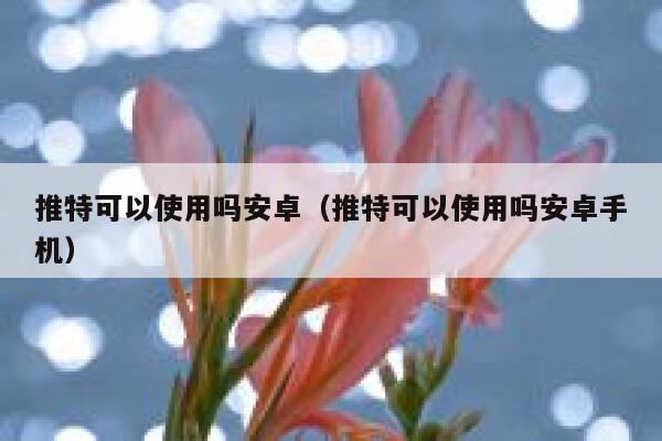 推特可以使用吗安卓（推特可以使用吗安卓手机） 第1张