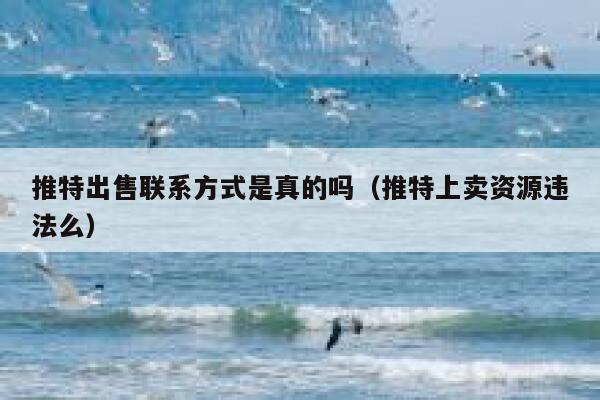 推特出售联系方式是真的吗(推特上卖资源违法么) 第1张 推特出售联系方式是真的吗(推特上卖资源违法么) 第1张