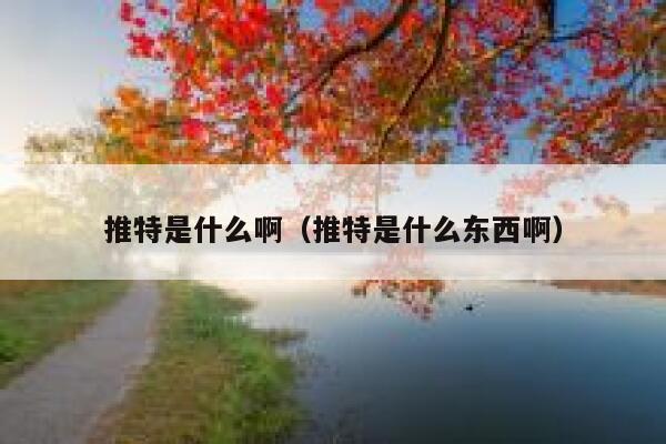 推特是什么啊（推特是什么东西啊） 第1张
