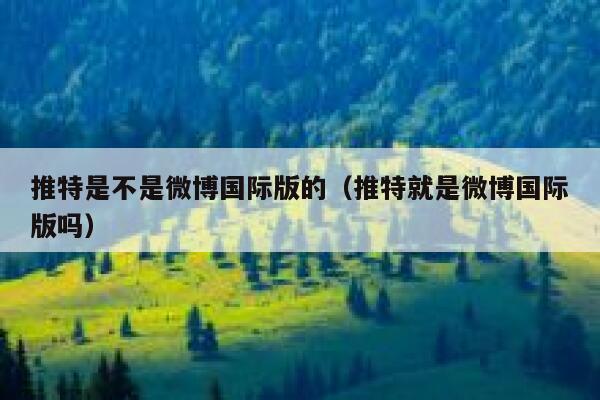 推特是不是微博国际版的（推特就是微博国际版吗） 第1张