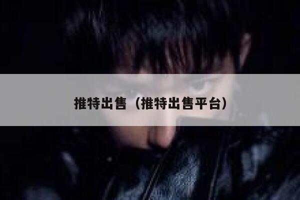 推特出售（推特出售平台） 第1张