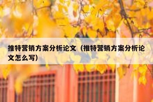推特营销方案分析论文（推特营销方案分析论文怎么写） 第1张