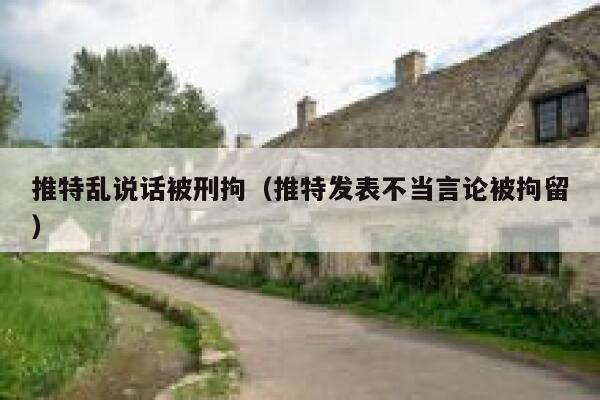 推特乱说话被刑拘（推特发表不当言论被拘留） 第1张