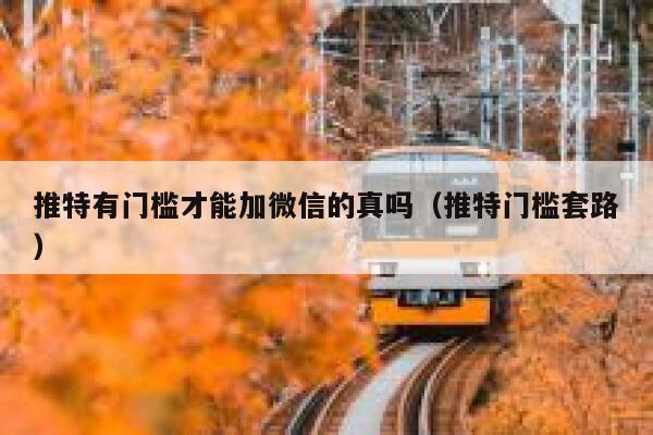 推特有门槛才能加微信的真吗（推特门槛套路） 第1张