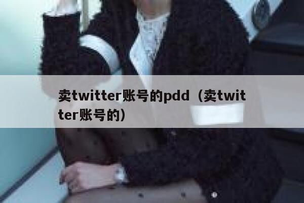 卖twitter账号的pdd（卖twitter账号的） 第1张