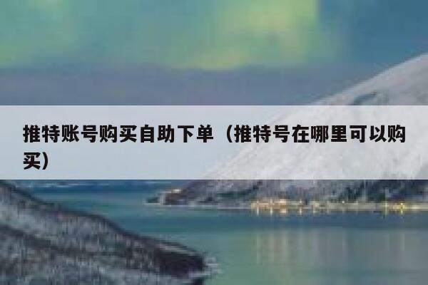 推特账号购买自助下单（推特号在哪里可以购买） 第1张