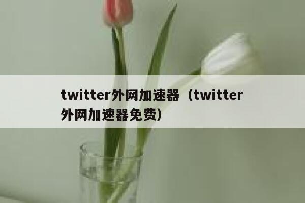 twitter外网加速器(twitter外网加速器免费) 第1张 twitter外网加速器(twitter外网加速器免费) 第1张