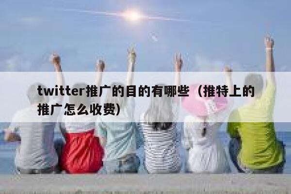 twitter推广的目的有哪些(推特上的推广怎么收费) 第1张 twitter推广的目的有哪些(推特上的推广怎么收费) 第1张