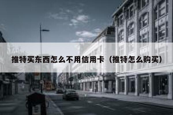 推特买东西怎么不用信用卡(推特怎么购买) 第1张 推特买东西怎么不用信用卡(推特怎么购买) 第1张