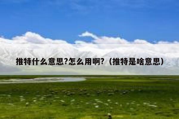 推特什么意思?怎么用啊?(推特是啥意思) 第1张 推特什么意思?怎么用啊?(推特是啥意思) 第1张