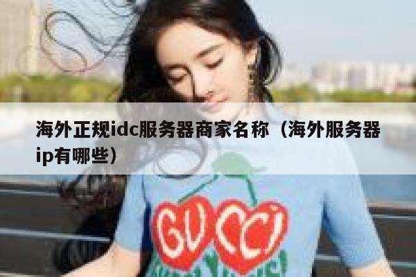 海外正规idc服务器商家名称（海外服务器ip有哪些） 第1张