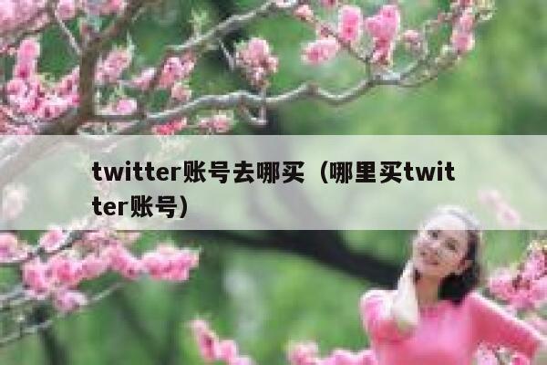 twitter账号去哪买（哪里买twitter账号） 第1张