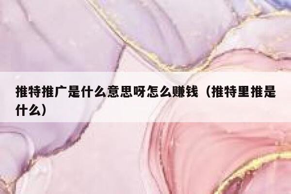 推特推广是什么意思呀怎么赚钱（推特里推是什么） 第1张