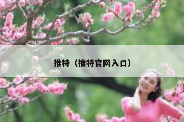推特（推特官网入口） 第1张