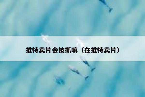 推特卖片会被抓嘛(在推特卖片) 第1张 推特卖片会被抓嘛(在推特卖片) 第1张