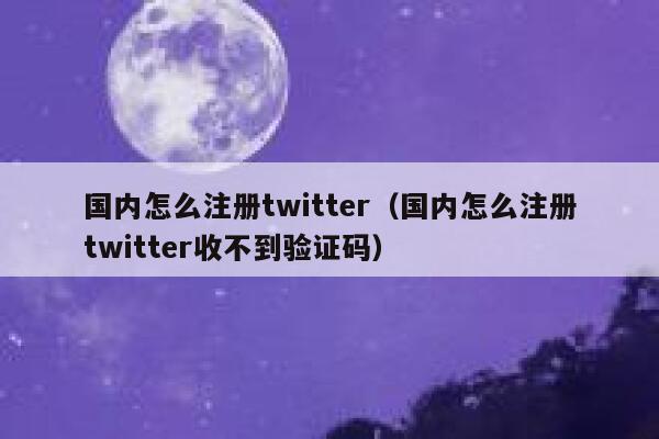 国内怎么注册twitter(国内怎么注册twitter收不到验证码) 第1张 国内怎么注册twitter(国内怎么注册twitter收不到验证码) 第1张