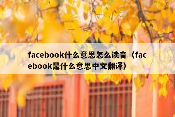 facebook什么意思怎么读音（facebook是什么意思中文翻译） 第1张