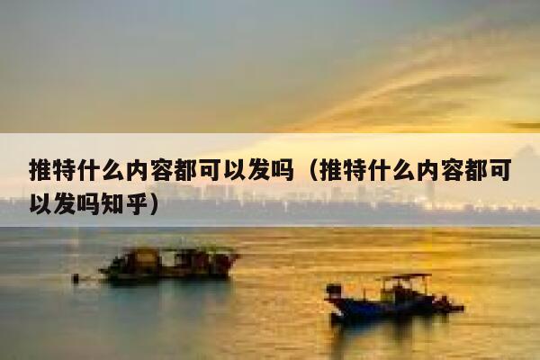 推特什么内容都可以发吗（推特什么内容都可以发吗知乎） 第1张