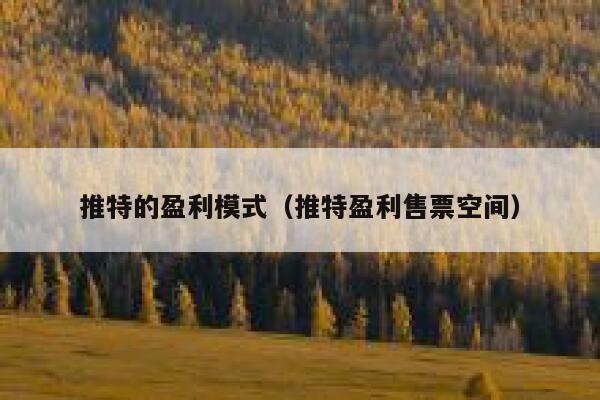 推特的盈利模式（推特盈利售票空间） 第1张
