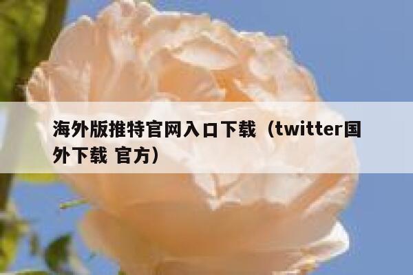 海外版推特官网入口下载(twitter国外下载 官方) 第1张 海外版推特官网入口下载(twitter国外下载 官方) 第1张