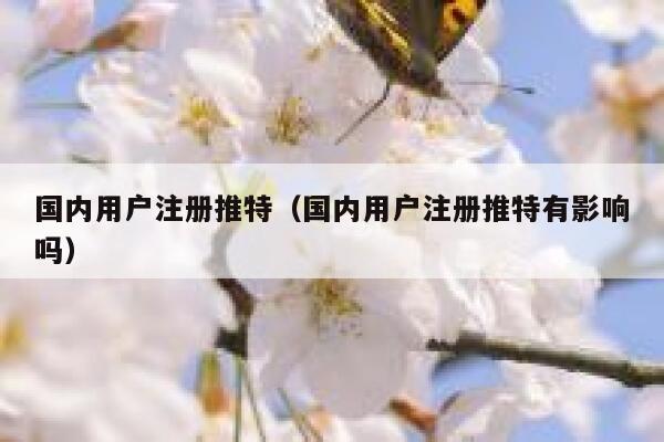 国内用户注册推特（国内用户注册推特有影响吗） 第1张