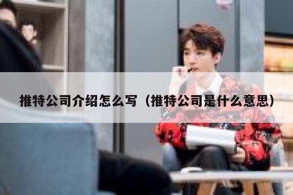 推特公司介绍怎么写（推特公司是什么意思） 第1张