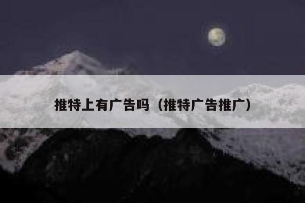 推特上有广告吗(推特广告推广) 第1张 推特上有广告吗(推特广告推广) 第1张