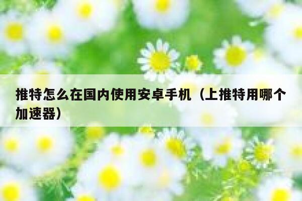 推特怎么在国内使用安卓手机(上推特用哪个加速器) 第1张 推特怎么在国内使用安卓手机(上推特用哪个加速器) 第1张