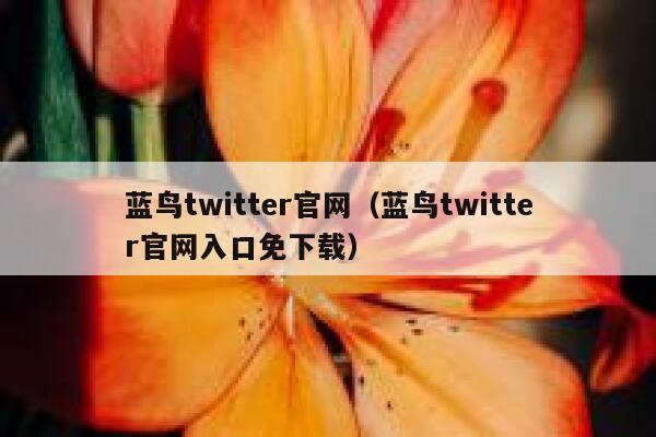 蓝鸟twitter官网（蓝鸟twitter官网入口免下载） 第1张