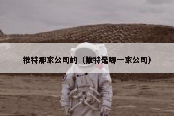 推特那家公司的（推特是哪一家公司） 第1张