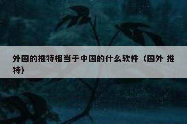 外国的推特相当于中国的什么软件（国外 推特） 第1张