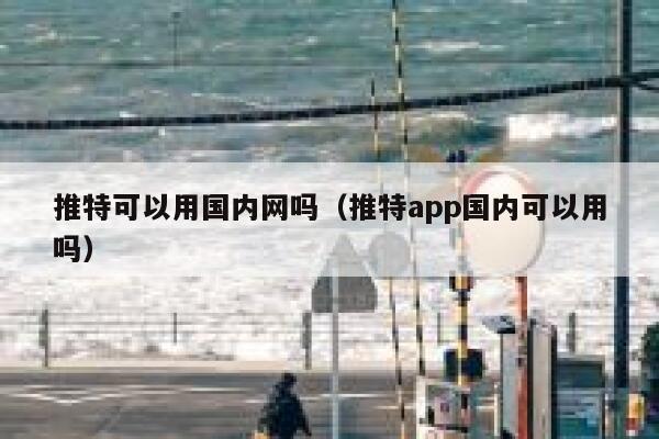 推特可以用国内网吗(推特app国内可以用吗) 第1张 推特可以用国内网吗(推特app国内可以用吗) 第1张