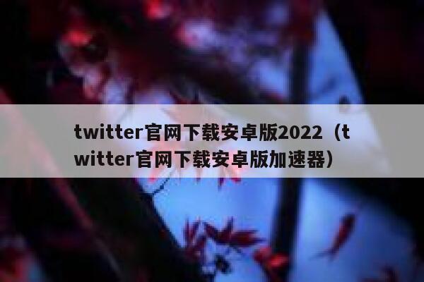 twitter官网下载安卓版2022(twitter官网下载安卓版加速器) 第1张 twitter官网下载安卓版2022(twitter官网下载安卓版加速器) 第1张