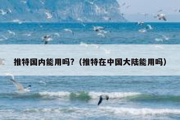推特国内能用吗?（推特在中国大陆能用吗） 第1张