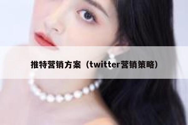 推特营销方案(twitter营销策略) 第1张 推特营销方案(twitter营销策略) 第1张