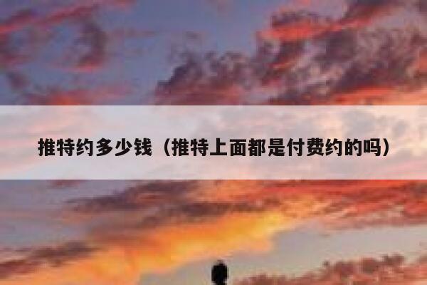 推特约多少钱（推特上面都是付费约的吗） 第1张