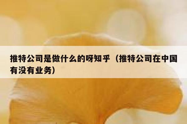 推特公司是做什么的呀知乎(推特公司在中国有没有业务) 第1张 推特公司是做什么的呀知乎(推特公司在中国有没有业务) 第1张
