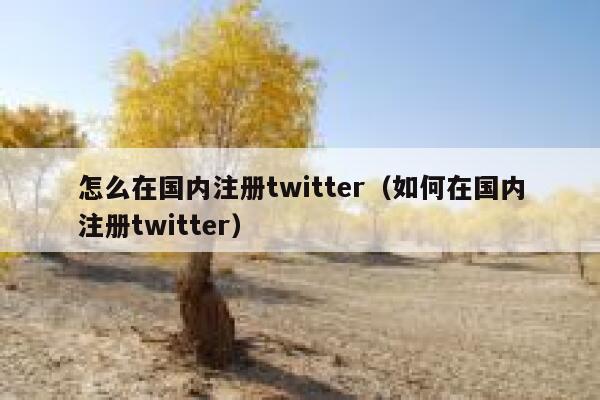 怎么在国内注册twitter(如何在国内注册twitter) 第1张 怎么在国内注册twitter(如何在国内注册twitter) 第1张