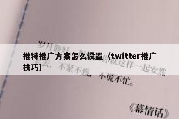 推特推广方案怎么设置(twitter推广技巧) 第1张 推特推广方案怎么设置(twitter推广技巧) 第1张