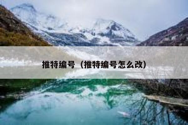 推特编号(推特编号怎么改) 第1张 推特编号(推特编号怎么改) 第1张