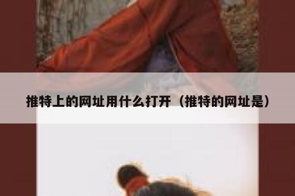 推特上的网址用什么打开(推特的网址是) 第1张 推特上的网址用什么打开(推特的网址是) 第1张